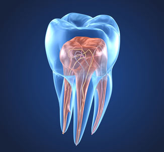 Root Canal dental treatment